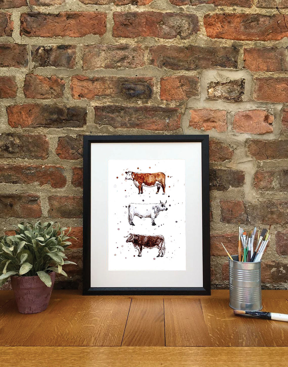 Thumbnail: Native Cattle Breeds | Signed Limited Edition Print
