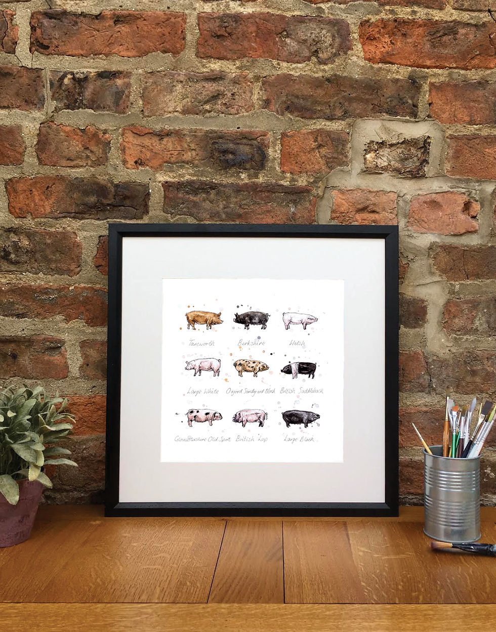 Thumbnail: Oink | Signed Limited Edition Print