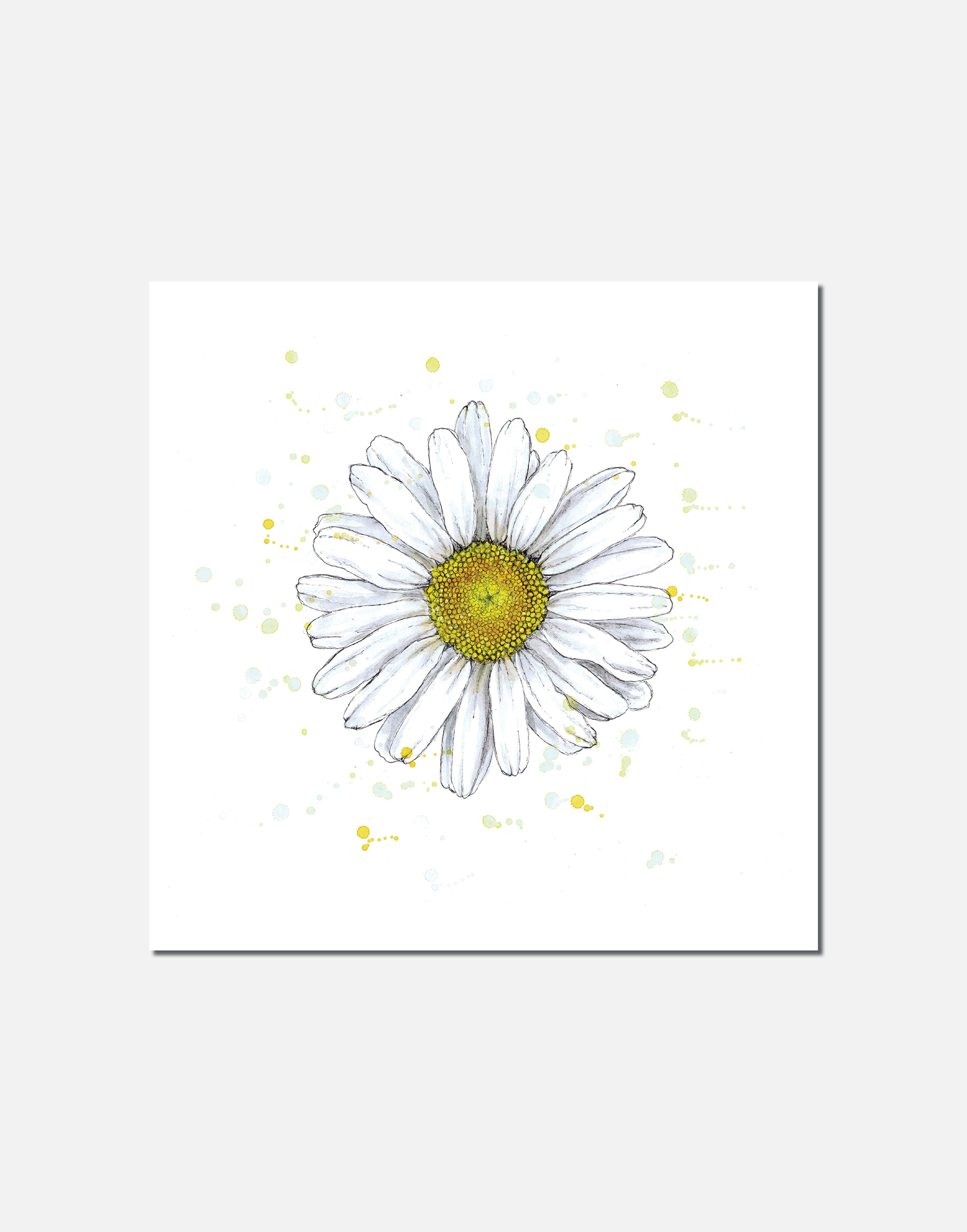 Daisy | Signed Limited Edition Print