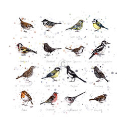 GARDEN BIRDS