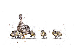 MOTHER DUCK