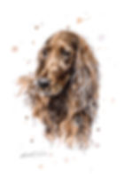 Red Setter, Dog Portrait, Eleanor Tomlinson