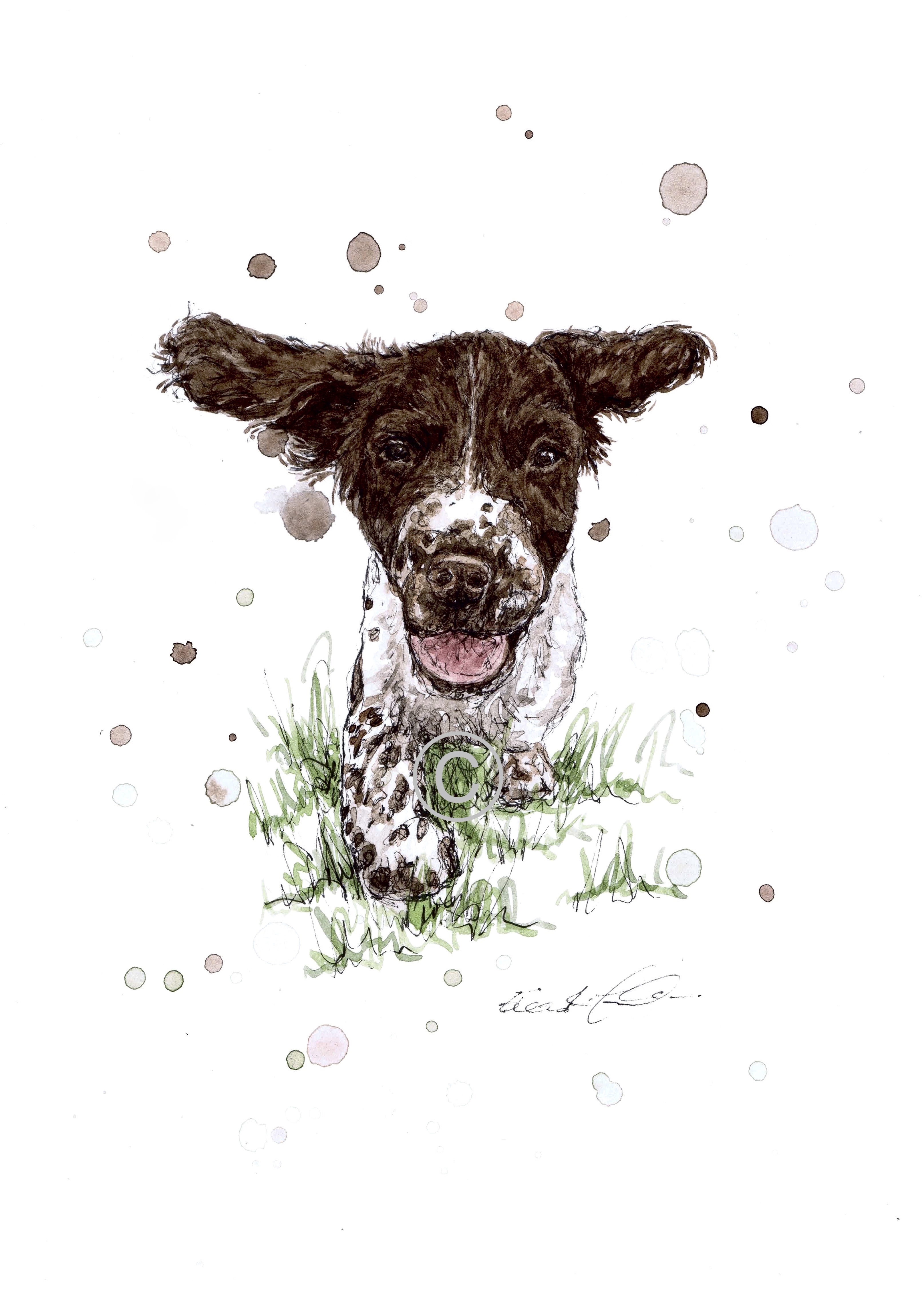 OSCAR