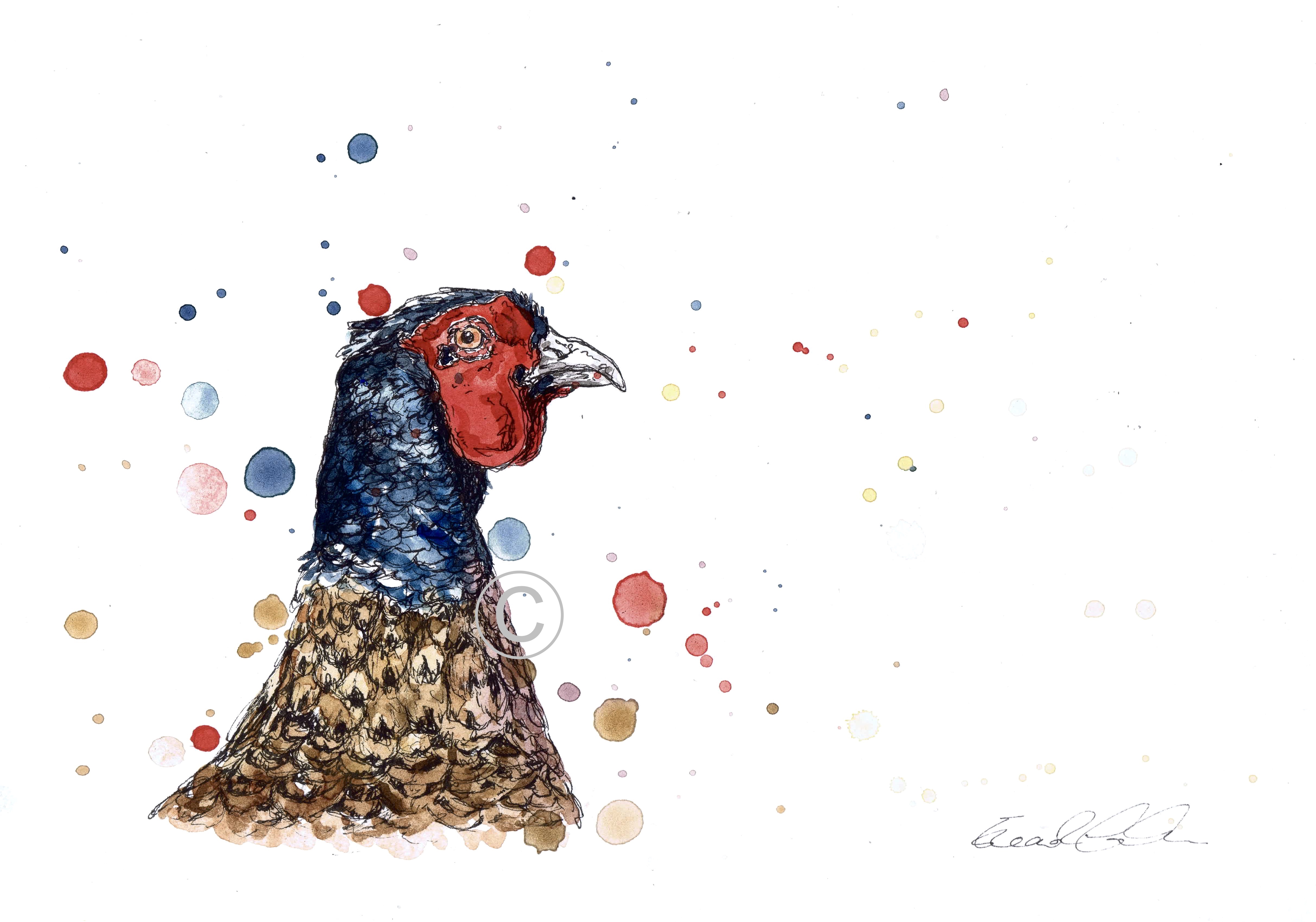 PHEASANT