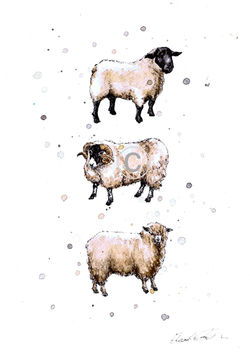 SUFFOLK, SWALEDALE & WENSLEYDALE
