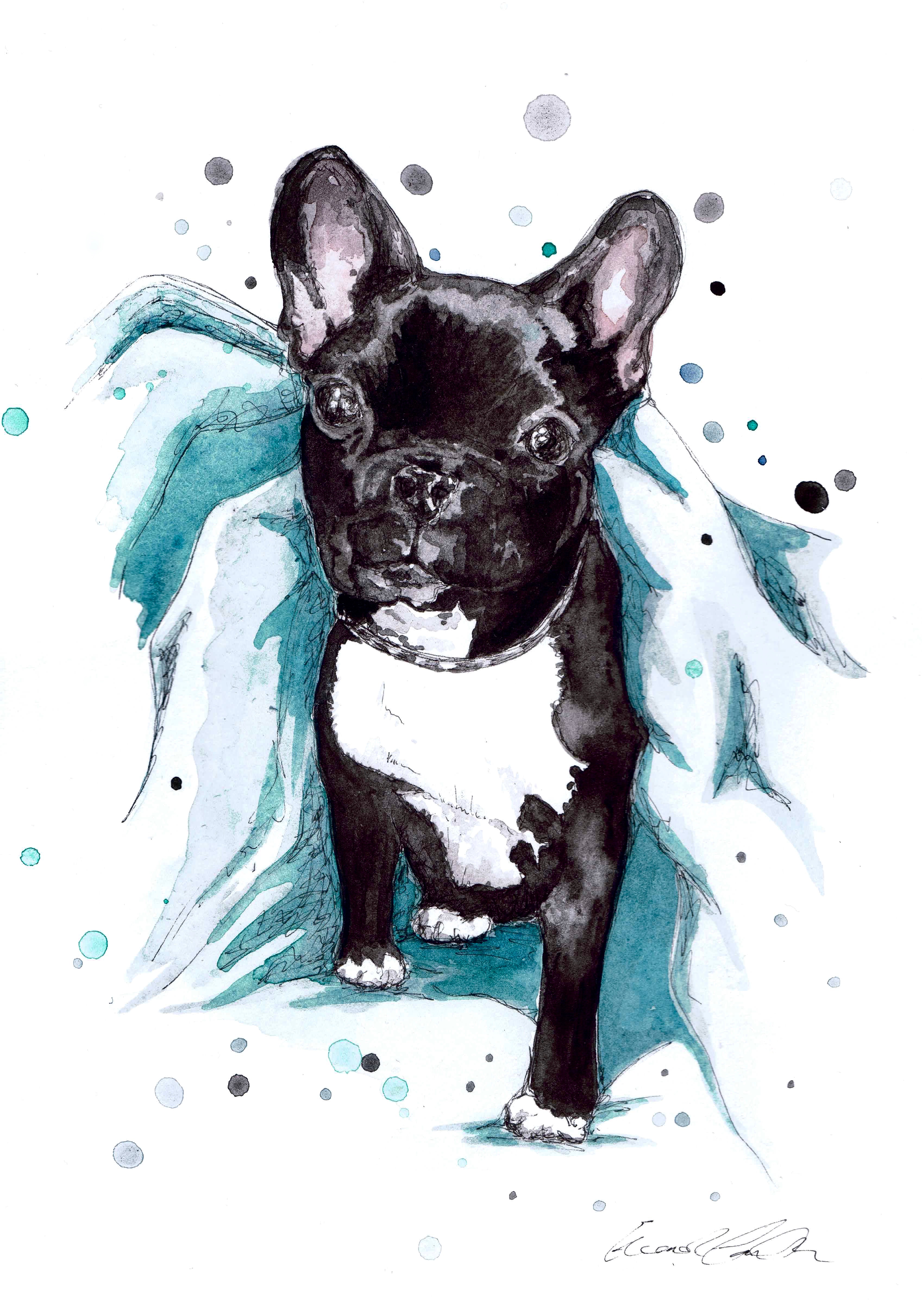 PHOEBE