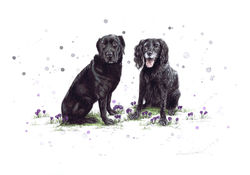 CASSIE & TESS
