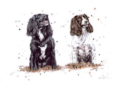 MEG & DAISY