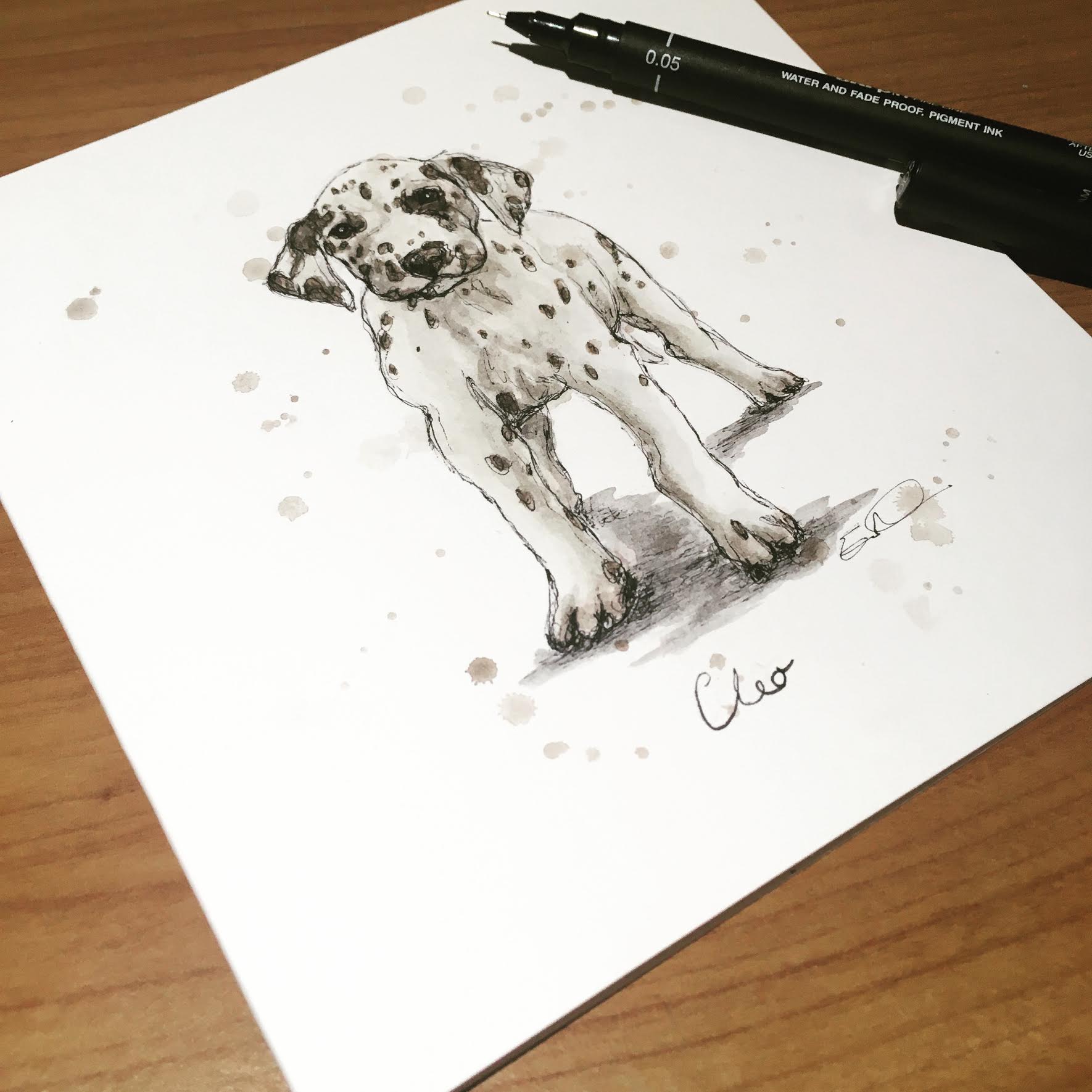 CLEO