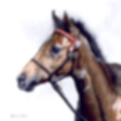 Horse Oil Painting Portrait, Eleanor Tomlinson