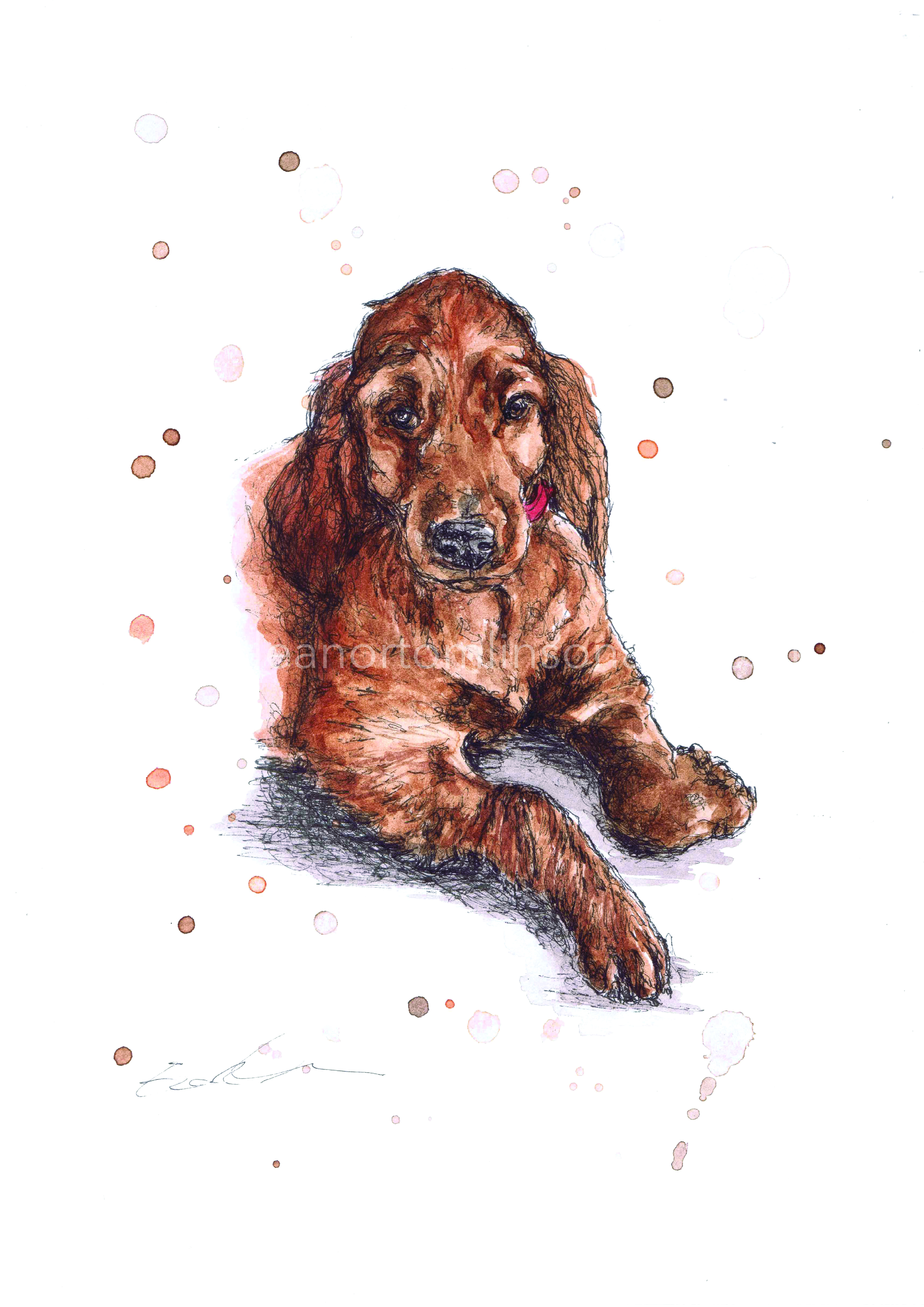 DARCEY