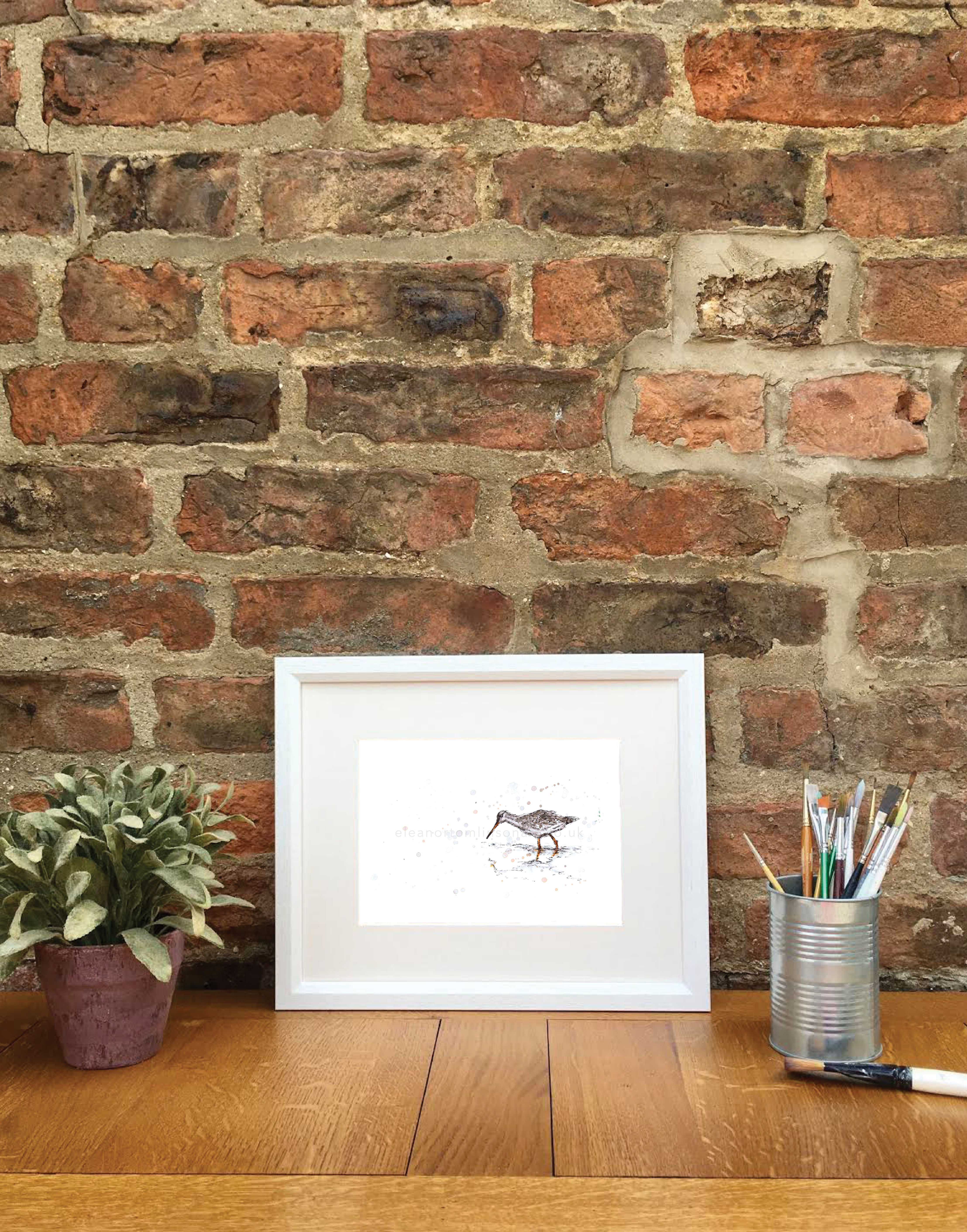 Redshank Study | Original Ink and Watercolour