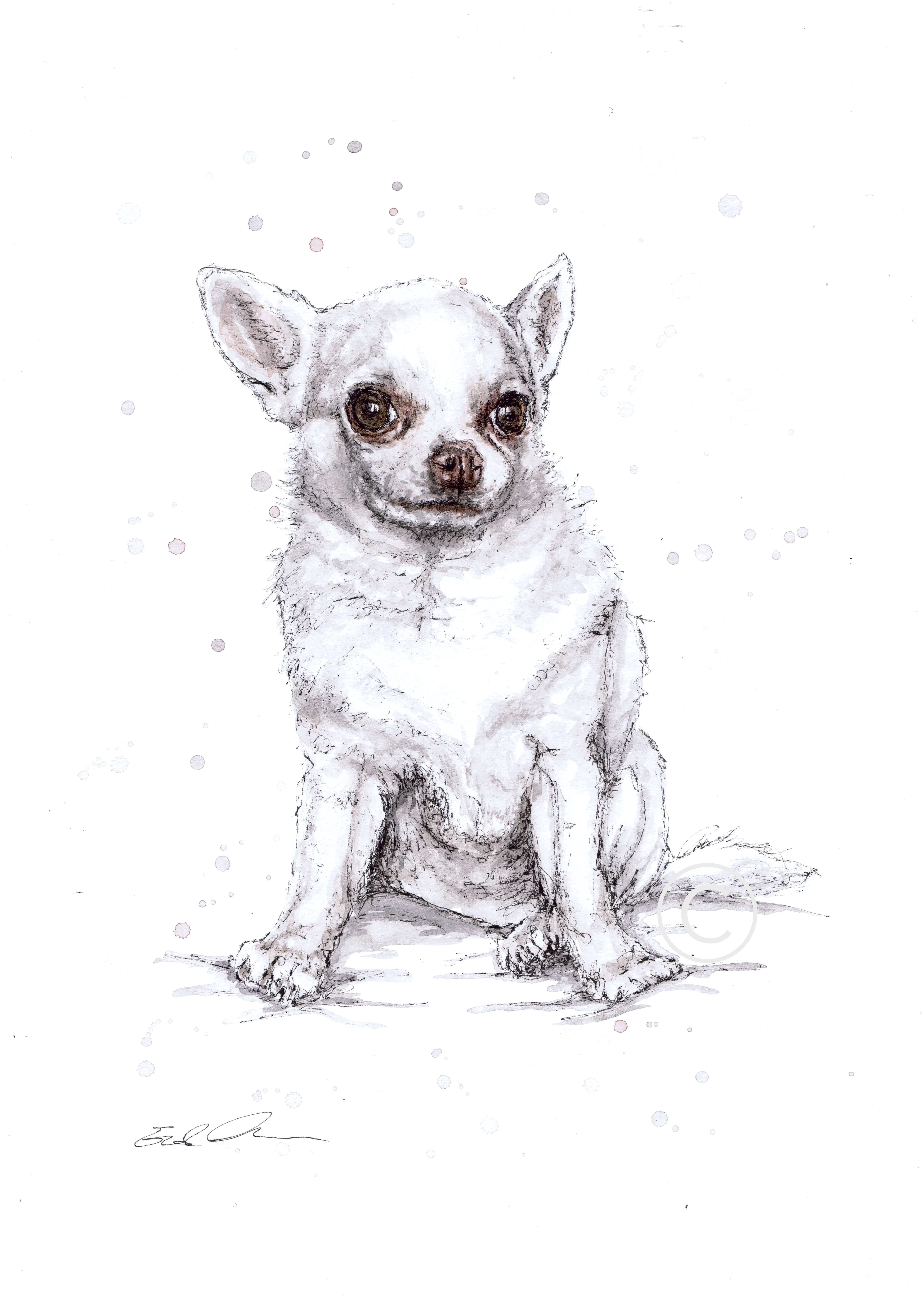 PIXIE