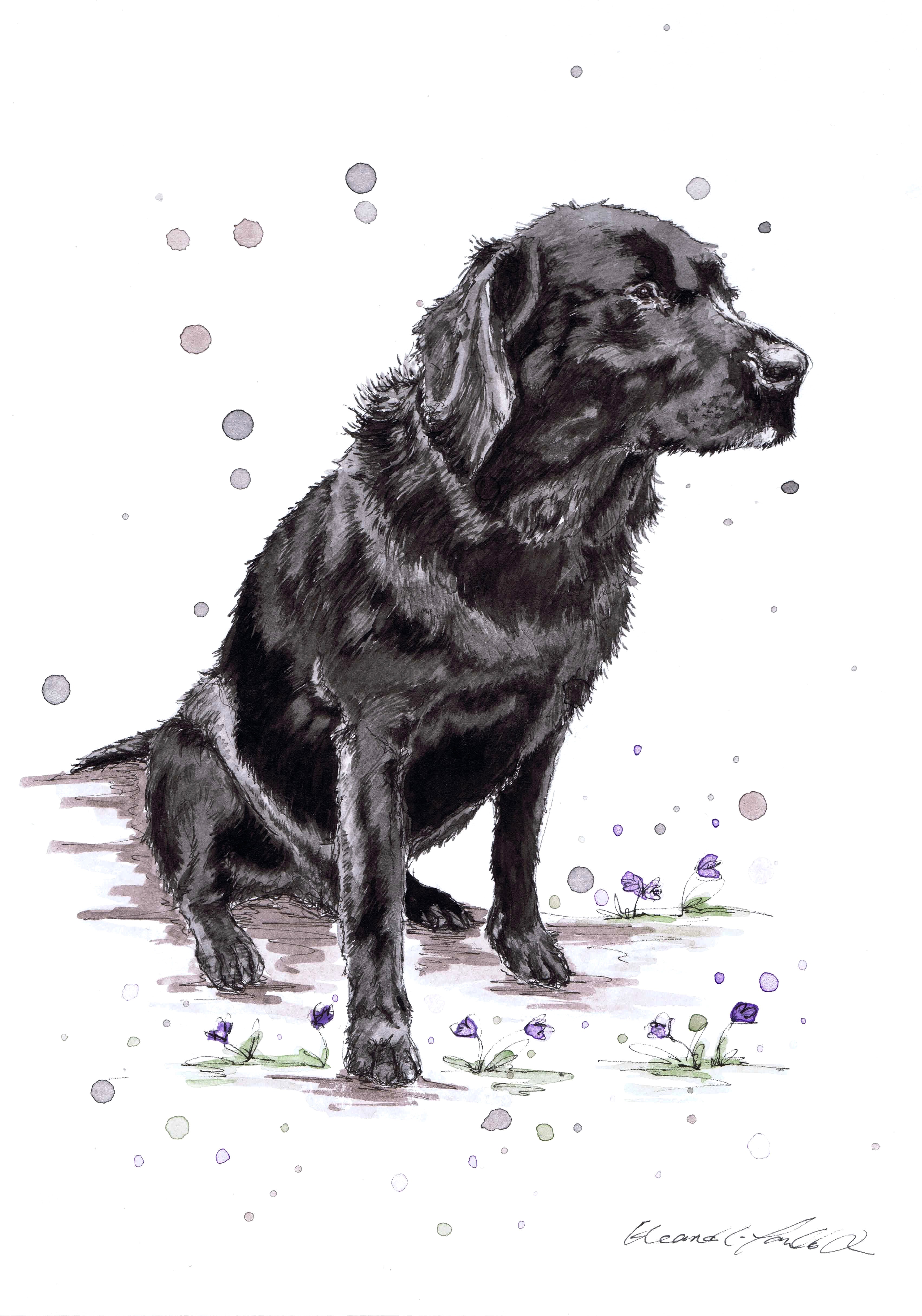 HUGO