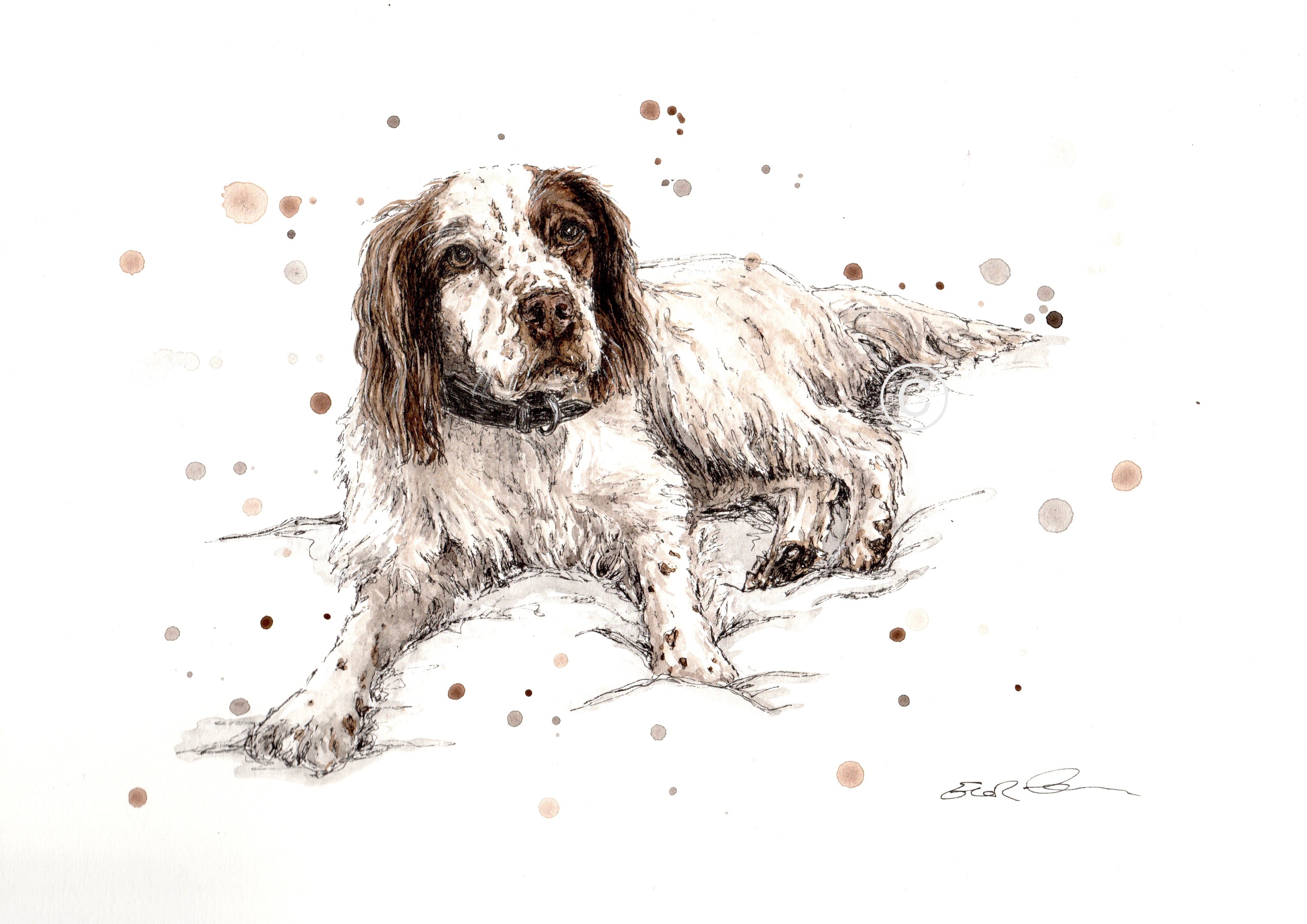 MOLLY