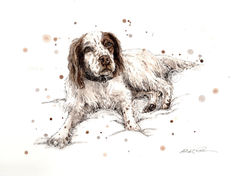 MOLLY