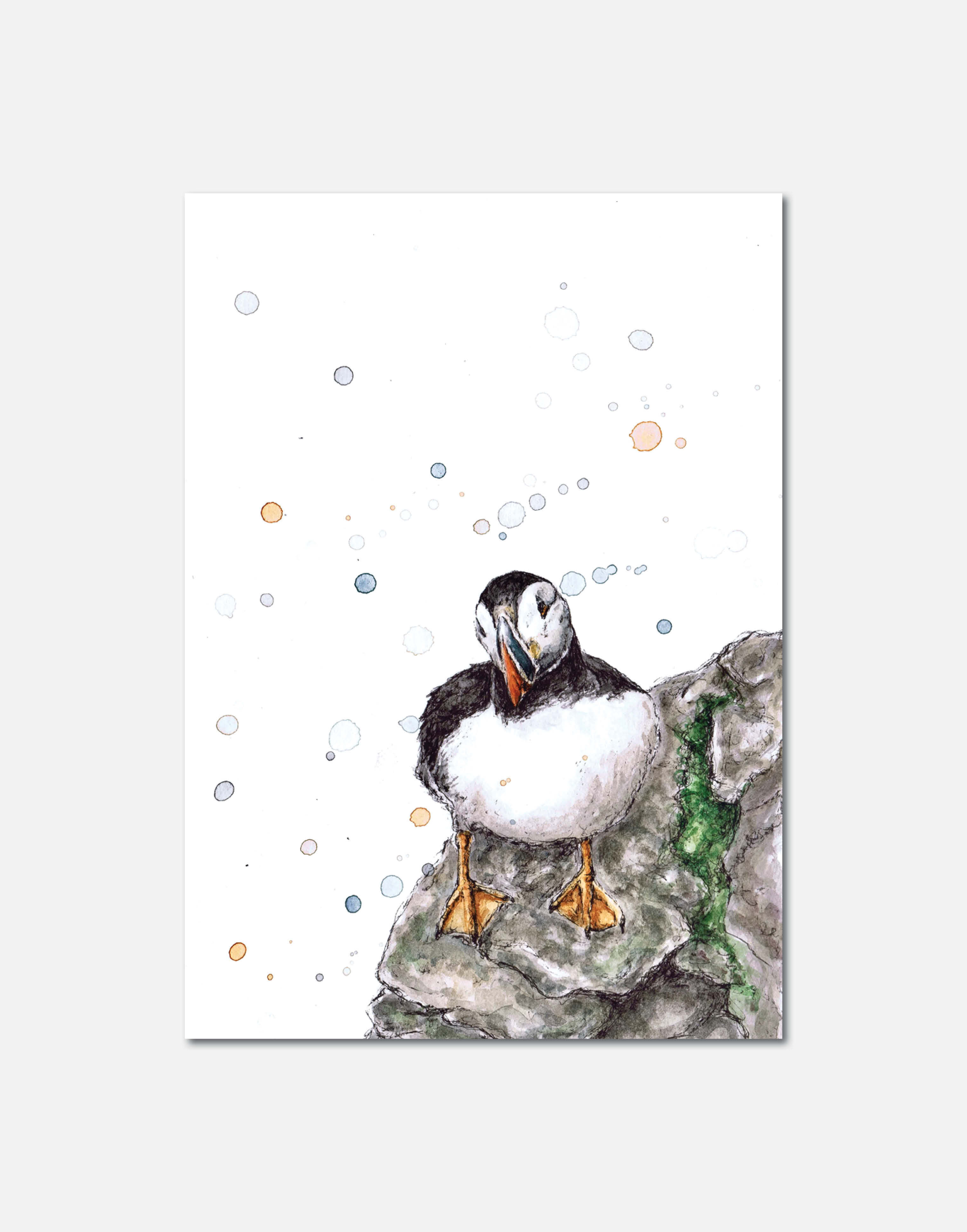 Bempton | Signed Limited Edition Print