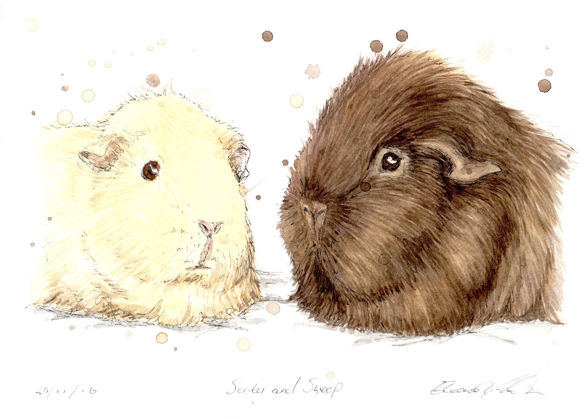 SOOTY AND SWEEP