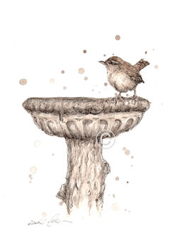 GARDEN WREN