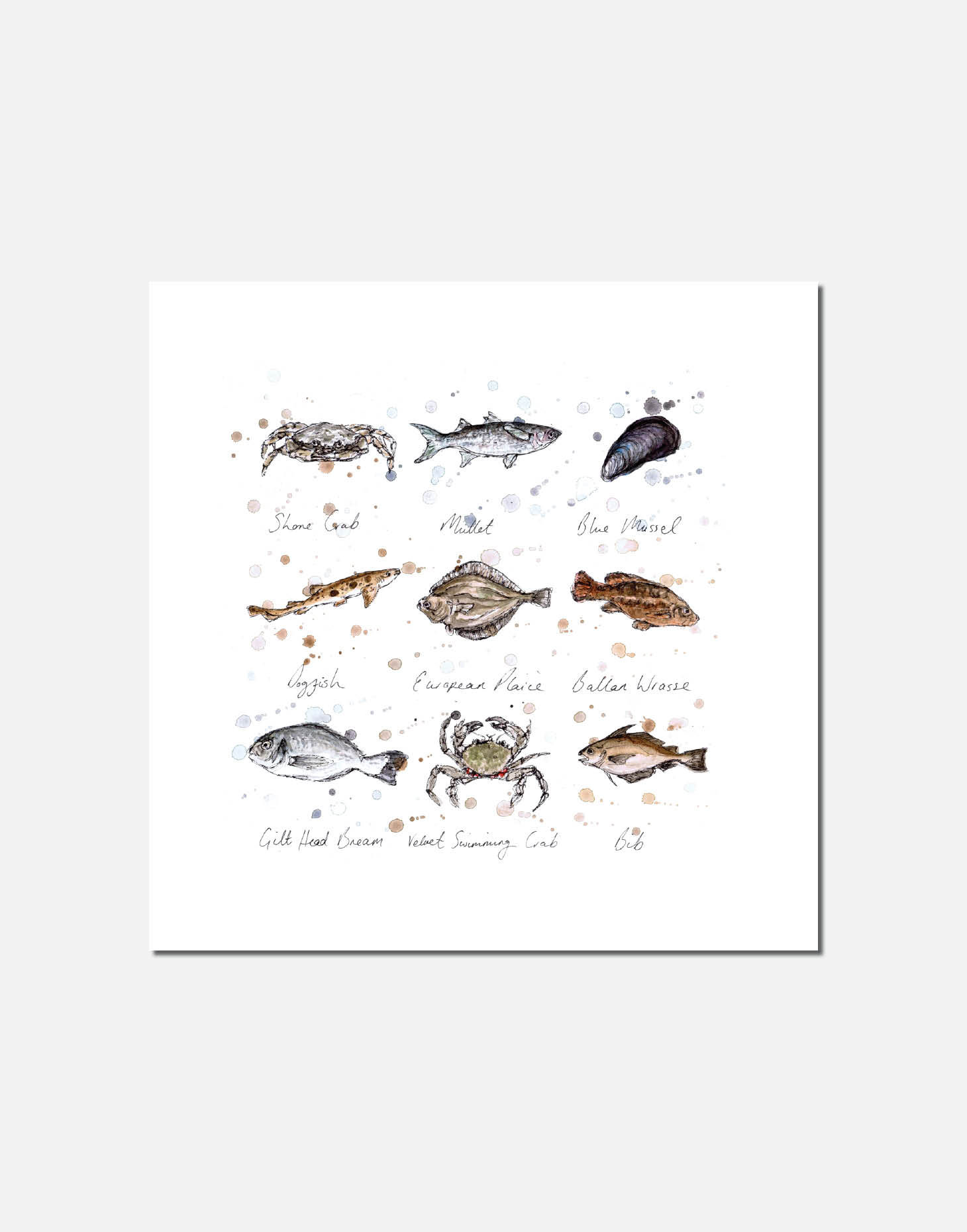 North Sea Finds | Signed Limited Edition Print