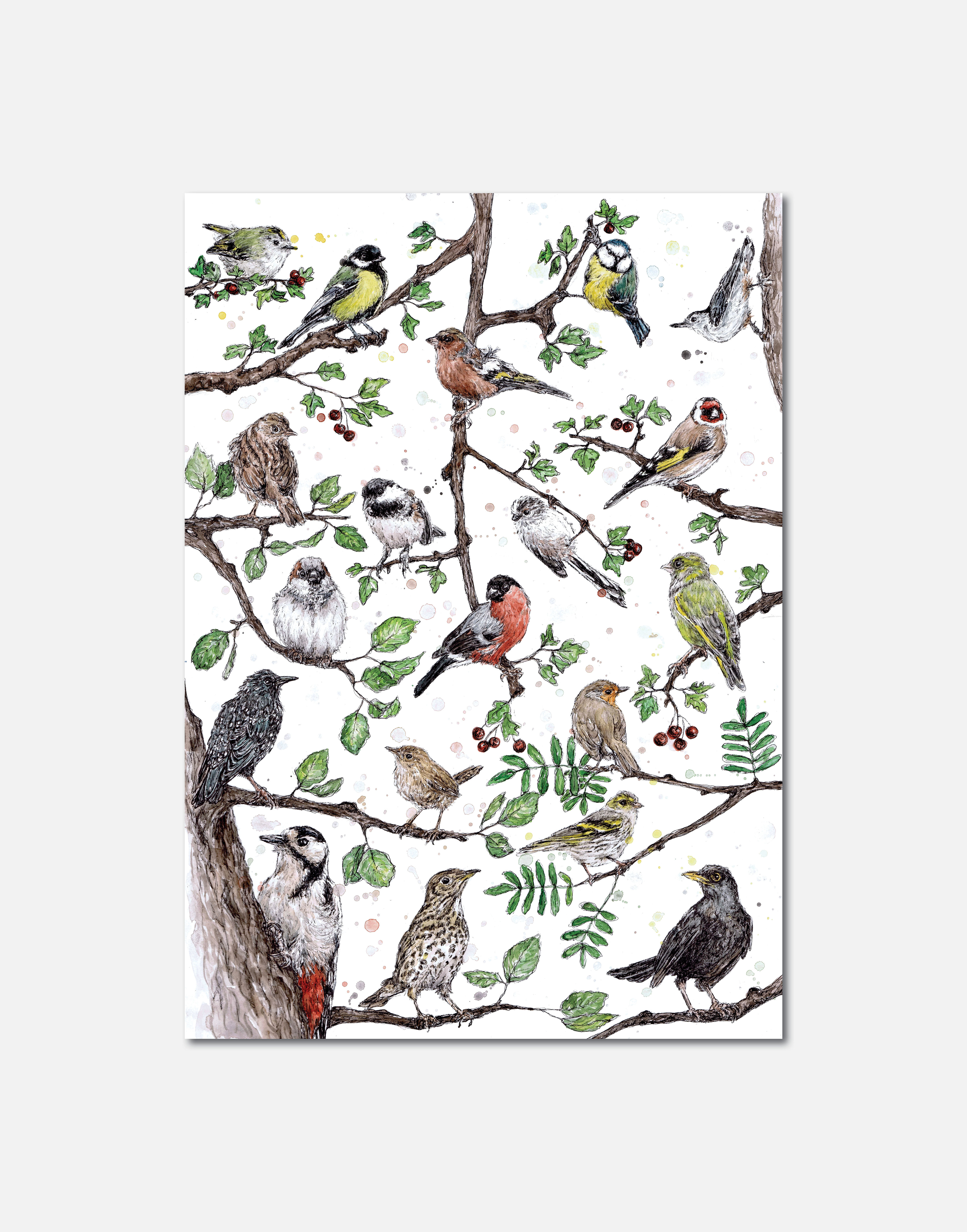 Big Garden Bird Watch | Signed Limited Edition Print