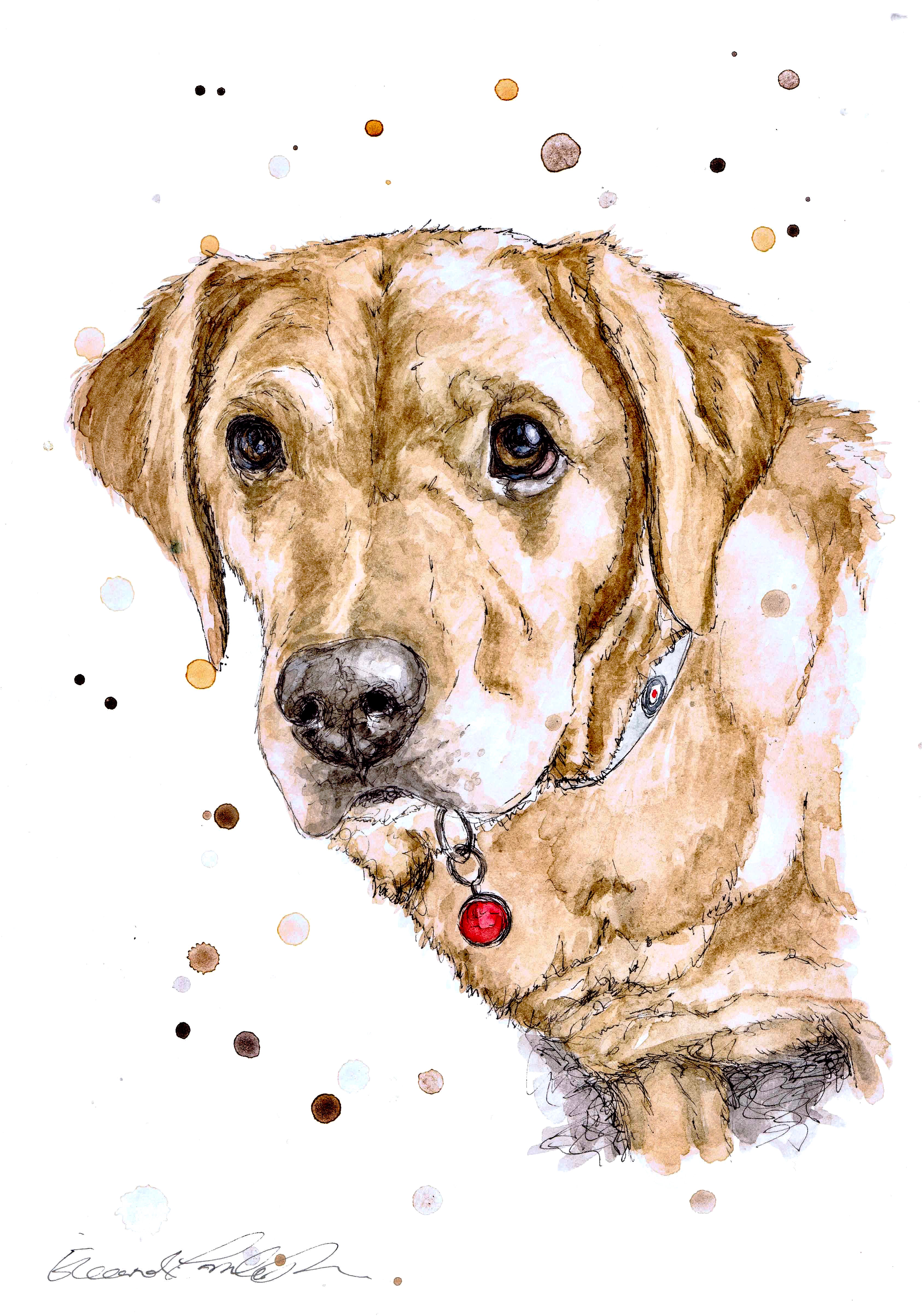 ALFIE
