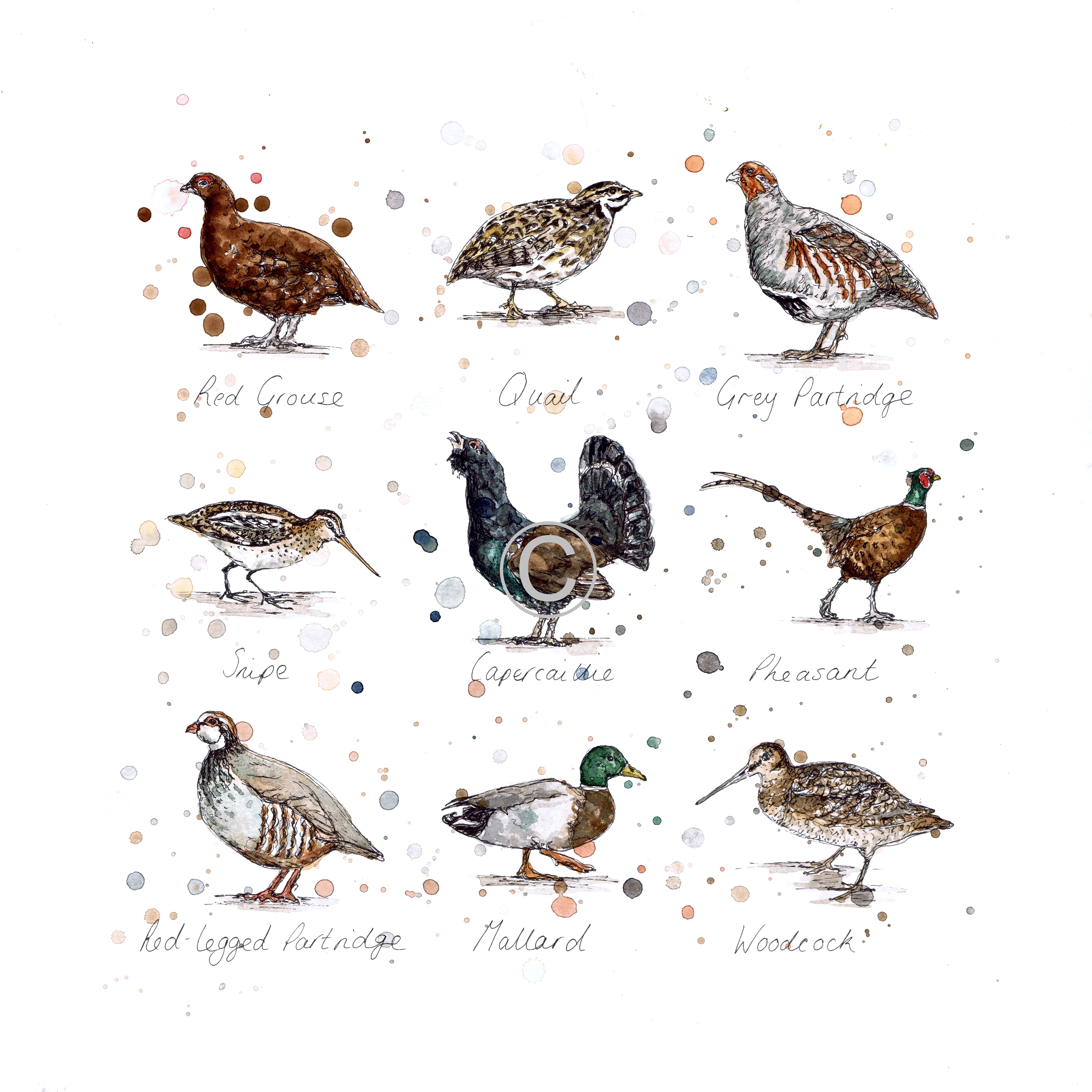 GAME BIRDS