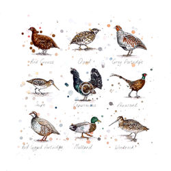 GAME BIRDS