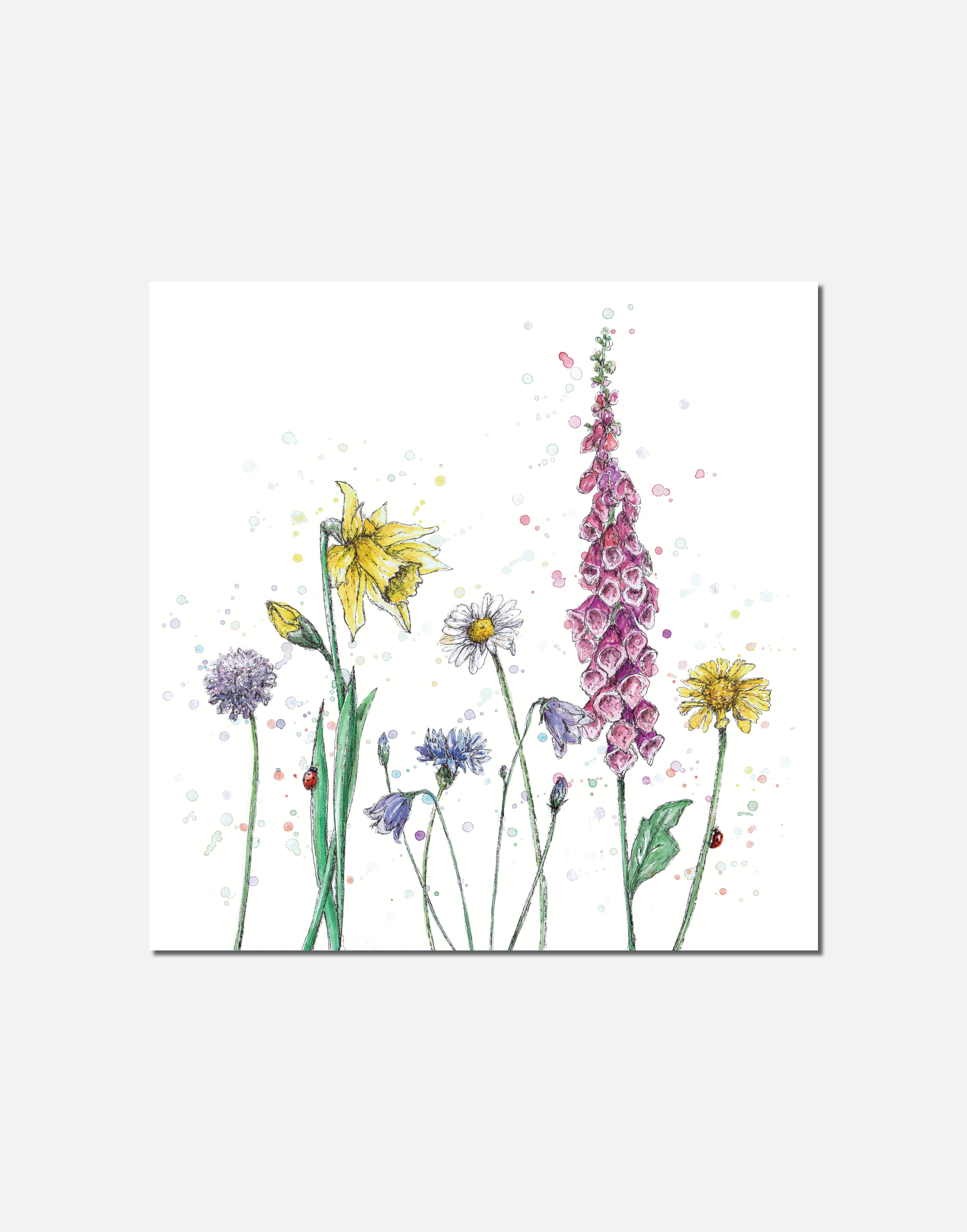Meadow Mayhem | Signed Limited Edition Print