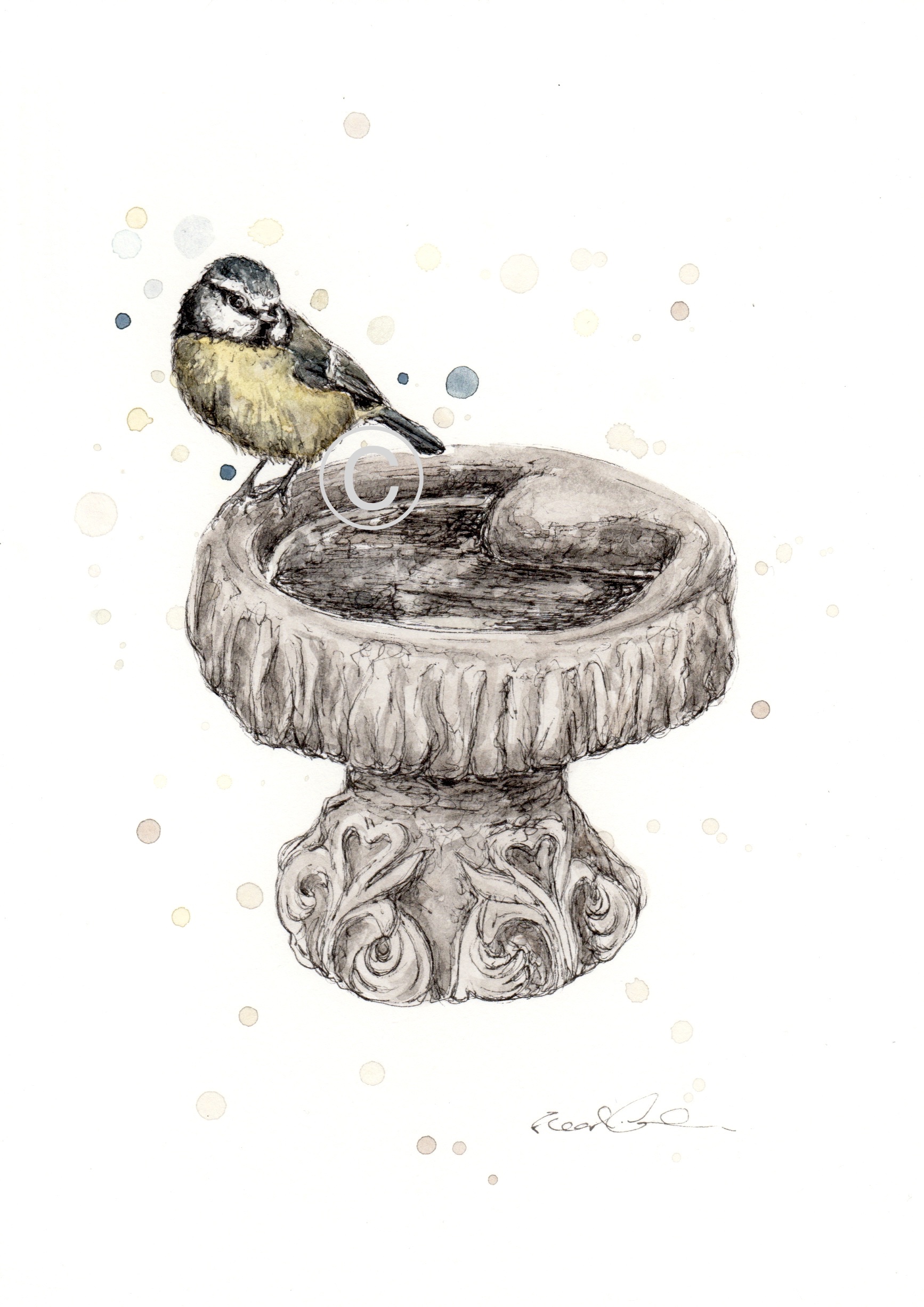 GARDEN BLUE TIT