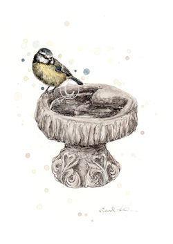 GARDEN BLUE TIT