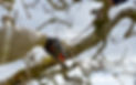 low-angle-view-hand-holding-tree-winter.jpg