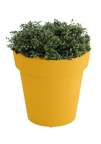 potting soil for cactus and succulents True Organic main image 1