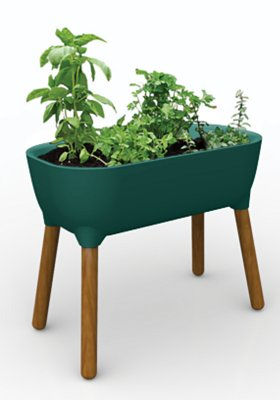 Thumbnail: Bloom Garden Planter with Legs