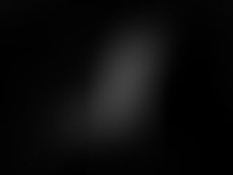 Whale in a black void