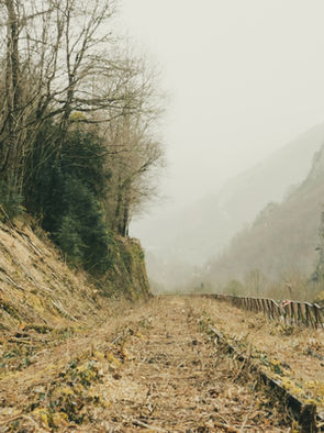 The Wide Road to Oblivion