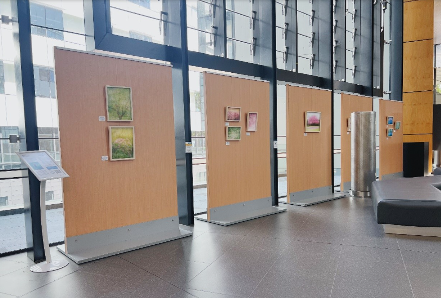 Gold Coast University Hospital exhibition, 2025