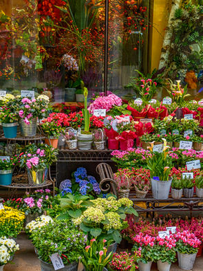 Absolute Floristry