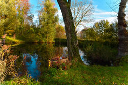 Herbst am Entenweiher