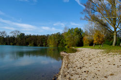 Epple See Neuburg im Herbst 2015