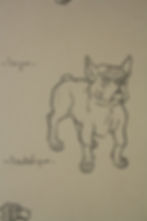 Miniature : Dessin Vintage - "Étude de Chiens" 1941 #14