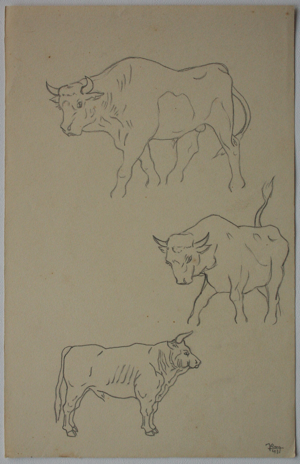 Miniature : Dessin Vintage - "Étude de Vache" 1941 #11