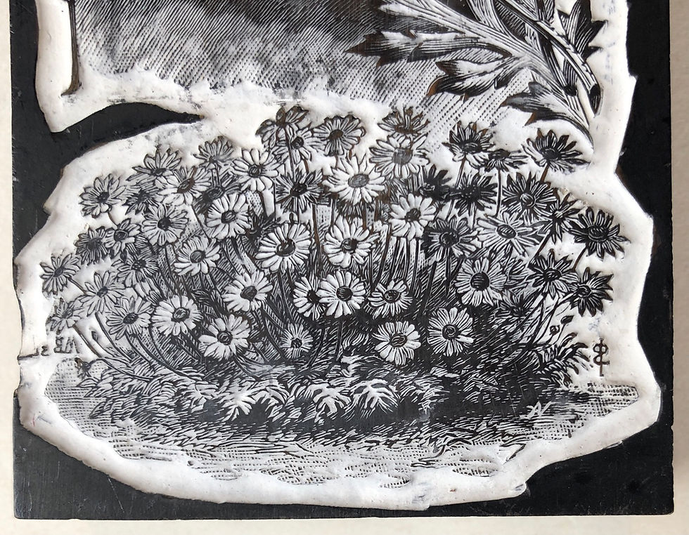 Miniature : "Anthémis Montana" - Matrice en Bois gravé, c.1930
