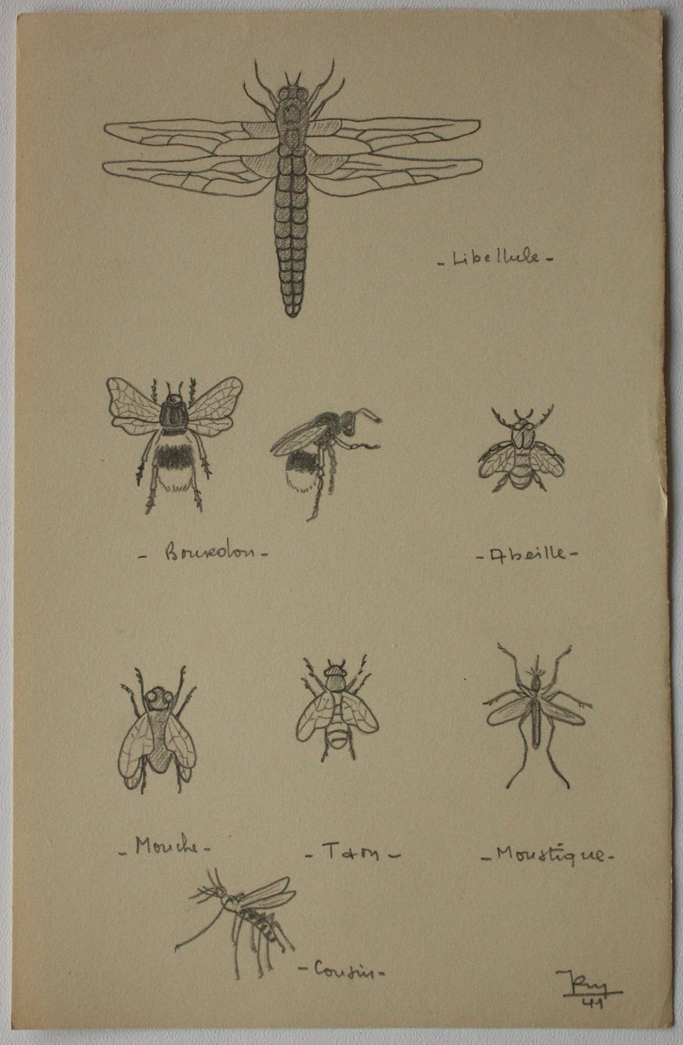 Miniature : "Études d'Insectes" - 1941 - Dessin Original #21