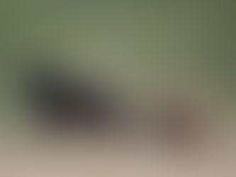 Giving back: CorrMed raises awareness and much needed funds for emergency services charities