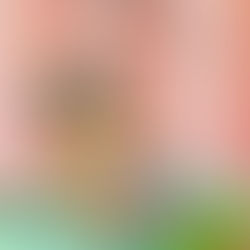 Brave Belle Saves the Day Is Officially Here 