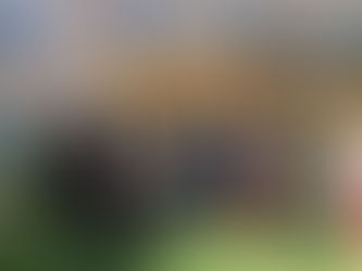 Performing at Senior Centers (2014-15)