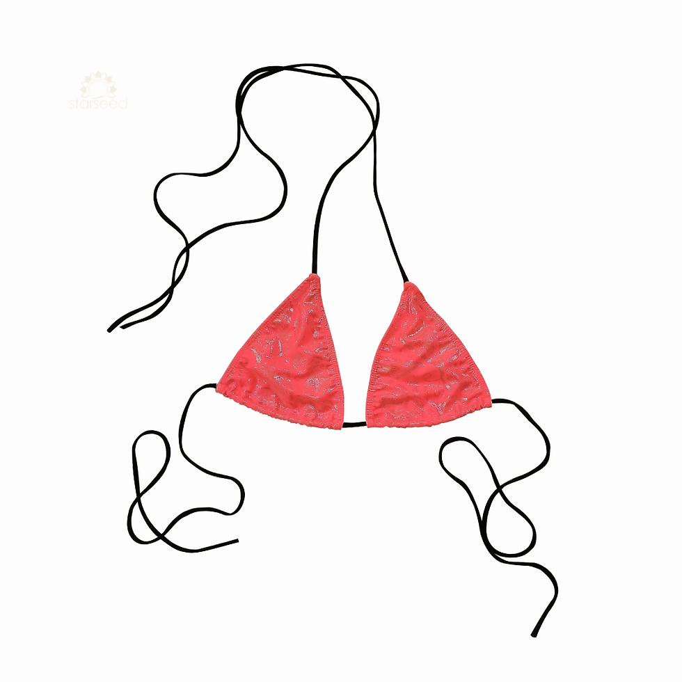 Miniaturbild: AYMARA CORAL · Corazón ígneo del altiplano