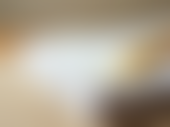 Serviços de Produção e Revisão de Textos