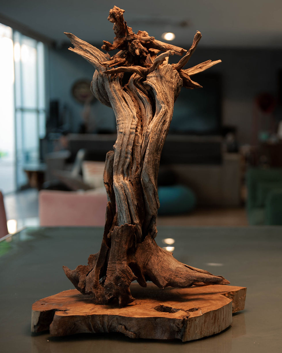 Escultura de madeira